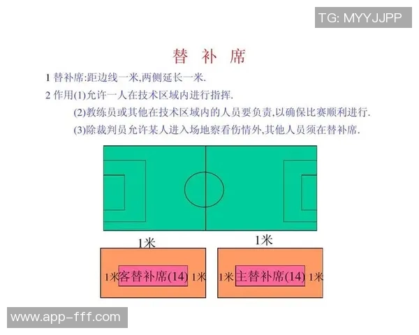 足球场地规则详解及其对比赛的影响与重要性分析